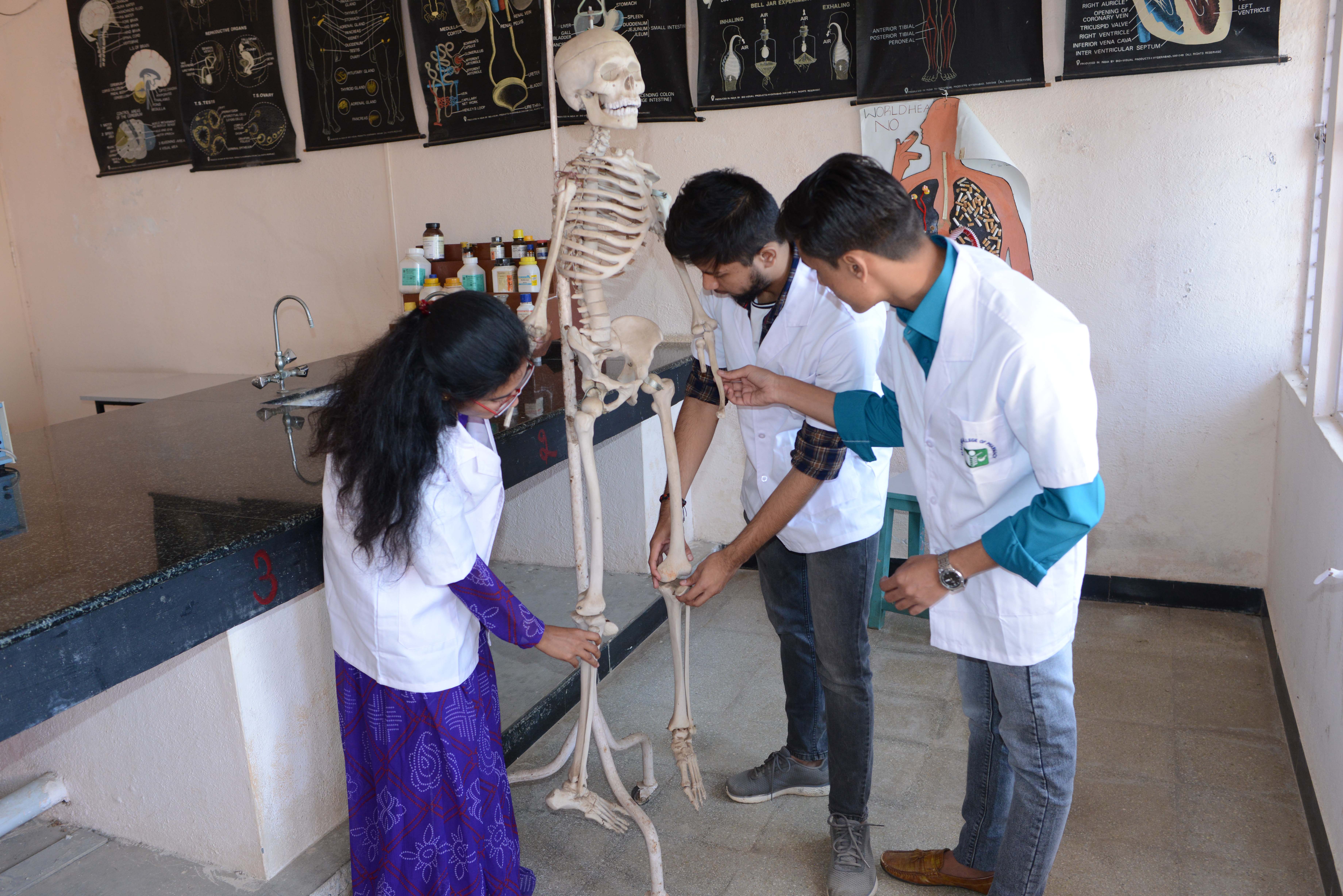 Transportation Facility